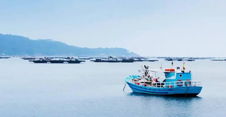 Veľkolepý návrat tuniaka do Dánska